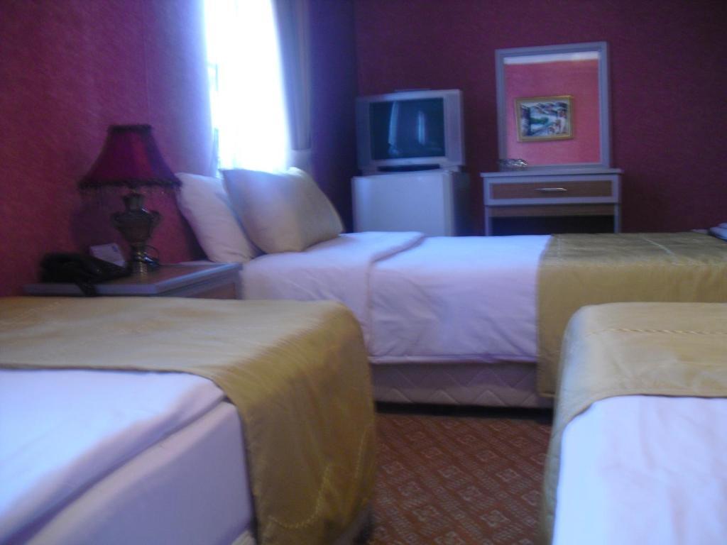 Demirgrand Hotel トラブゾン 部屋 写真